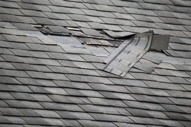 Damaged Lanai Roof
