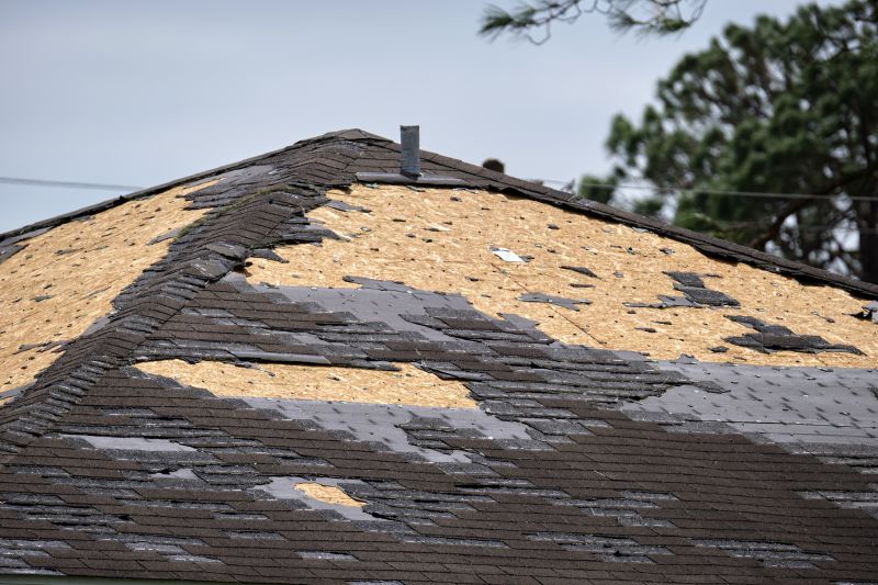 Shingle Repair